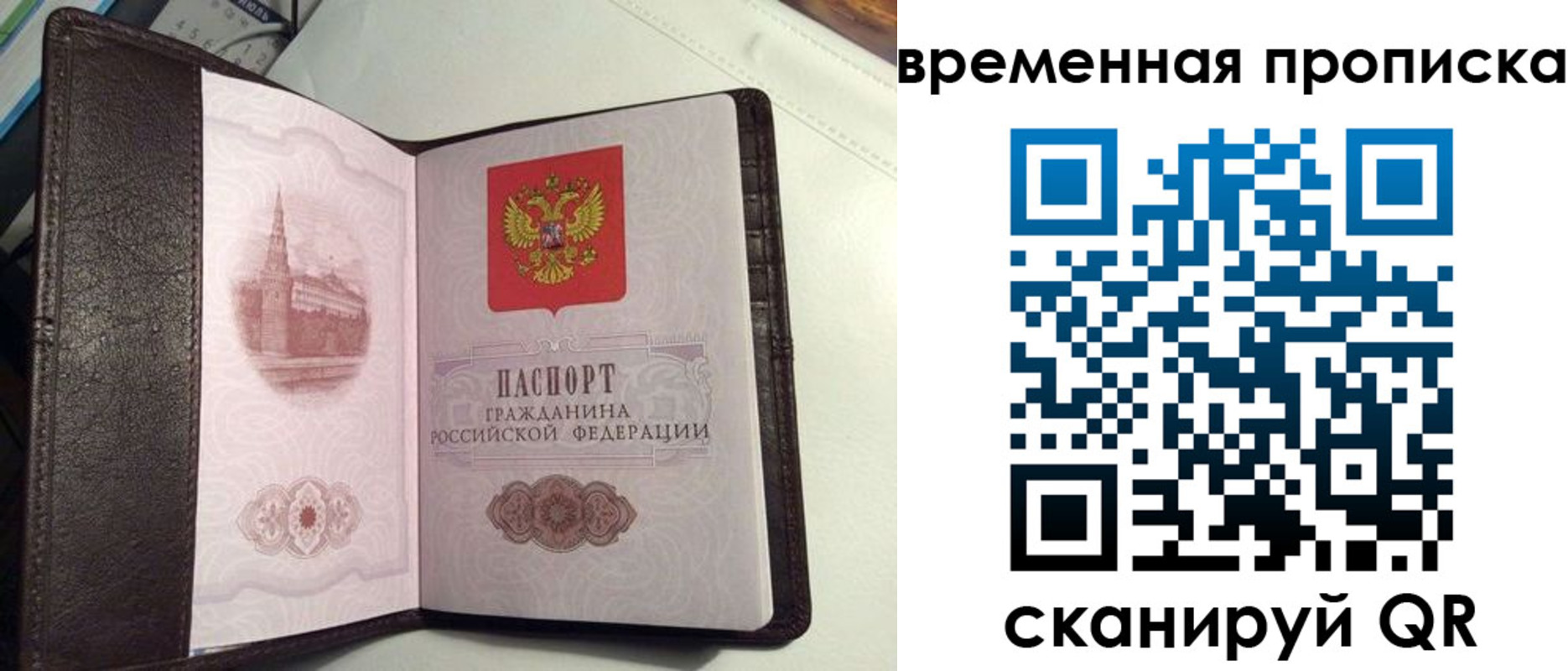 прописка 2025 в Белово